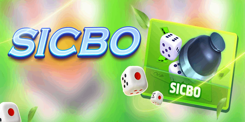Kinh nghiệm chơi sicbo (xí ngầu) từ cơ bản đến nâng cao tại SV88